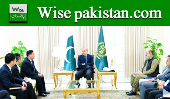 Wise Pakistan