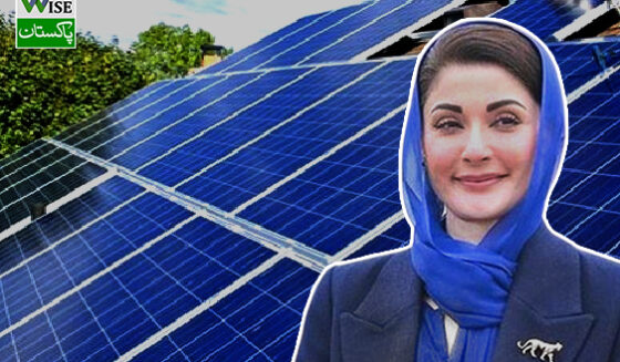 Wise Pakistan