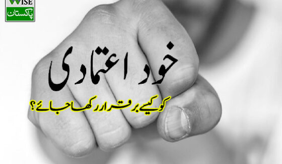 Wise Pakistan
